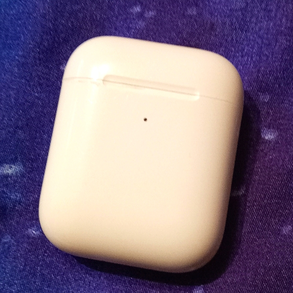 Apple earpod case only